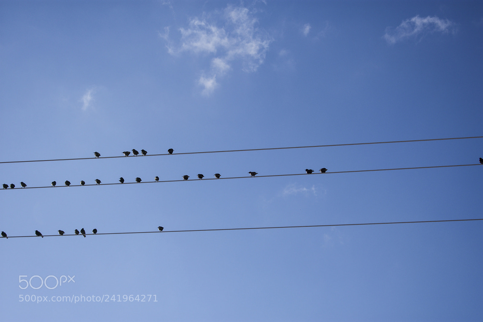 Nikon D3400 sample photo. Untitled photography