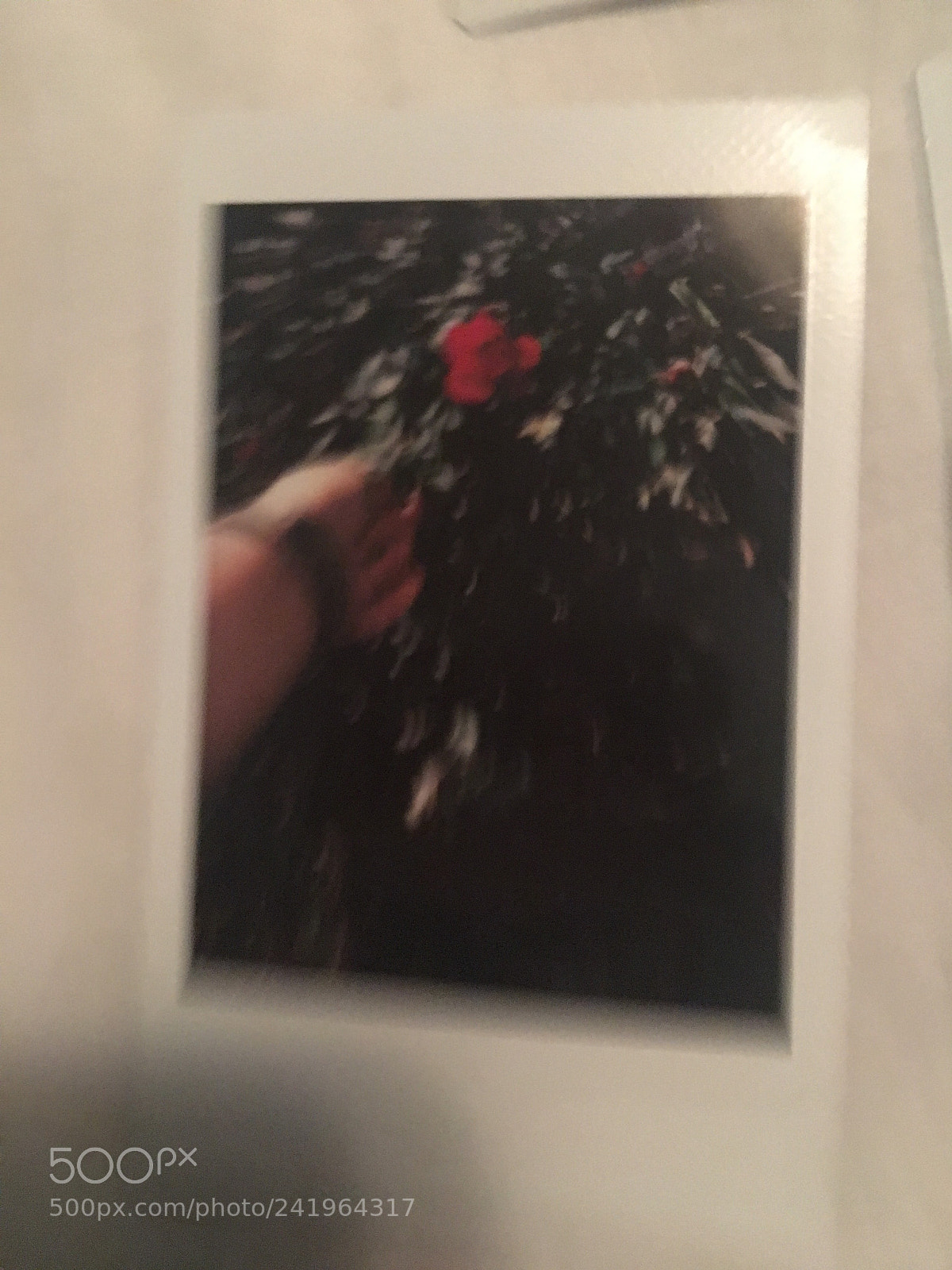 Apple iPhone 6s sample photo. Untitled photography