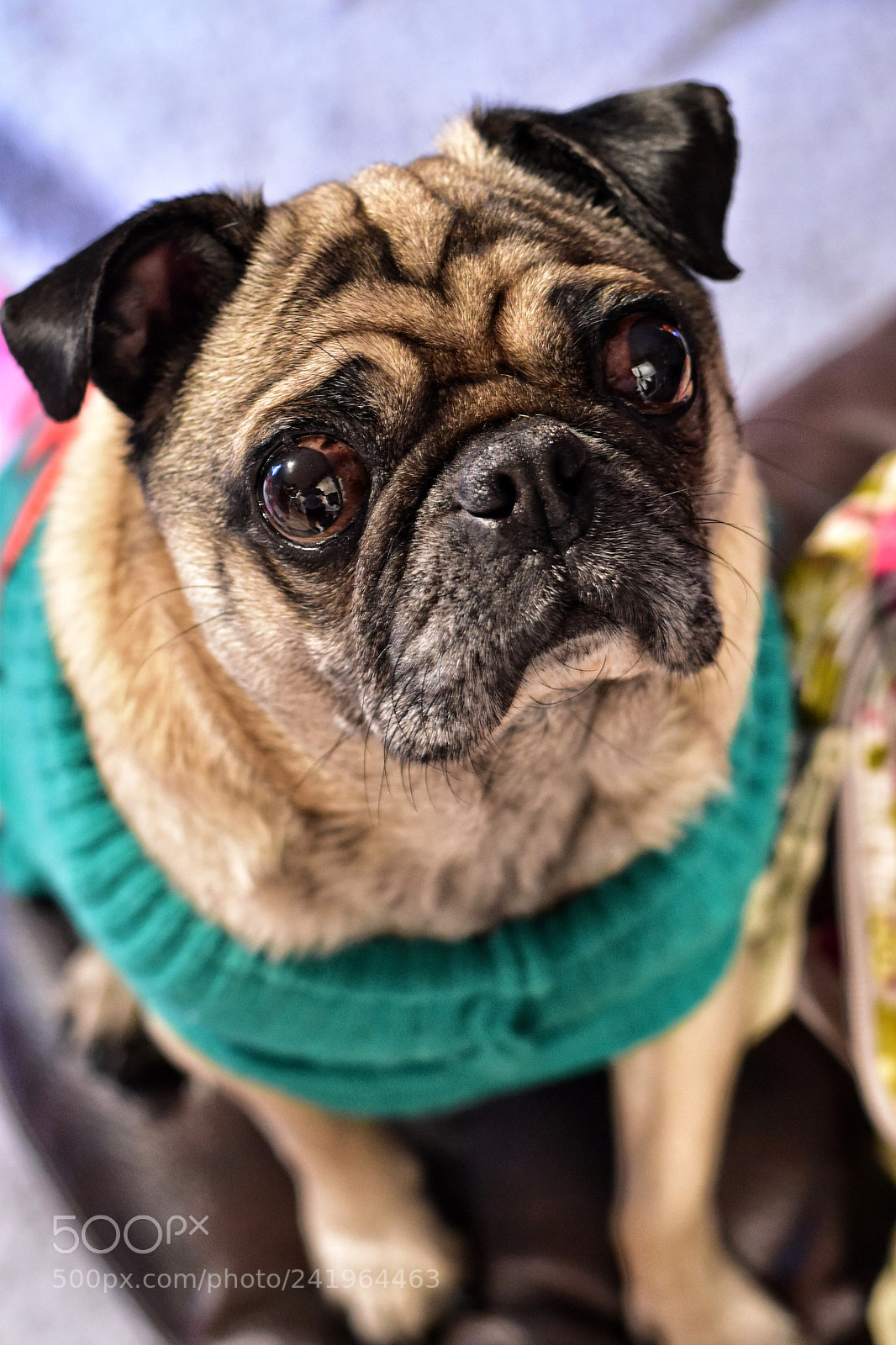 Nikon D5600 sample photo. Untitled photography