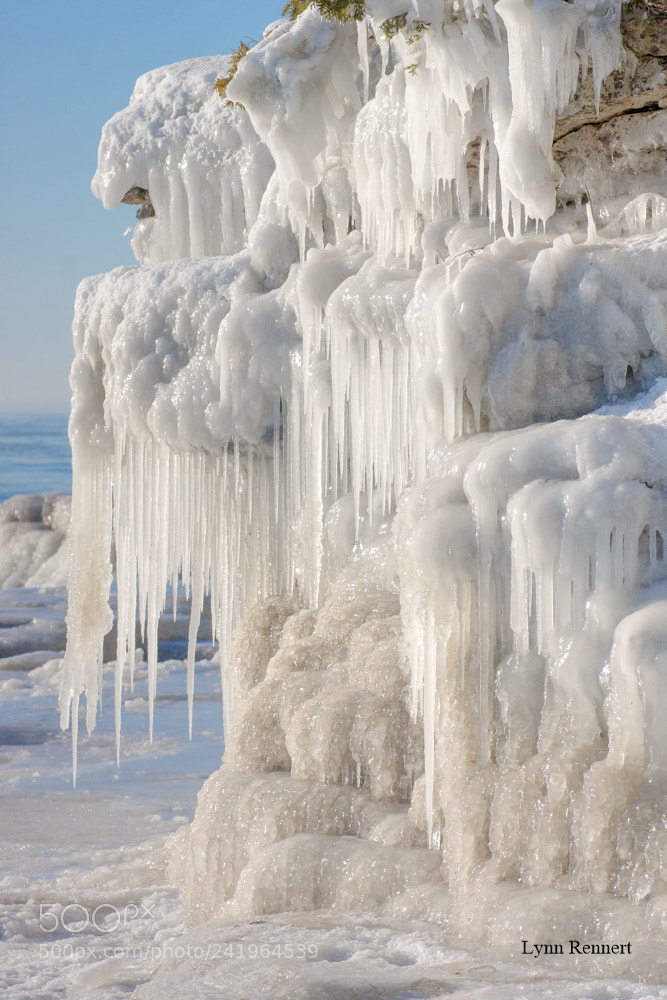 Sony SLT-A77 sample photo. Screaming cold photography