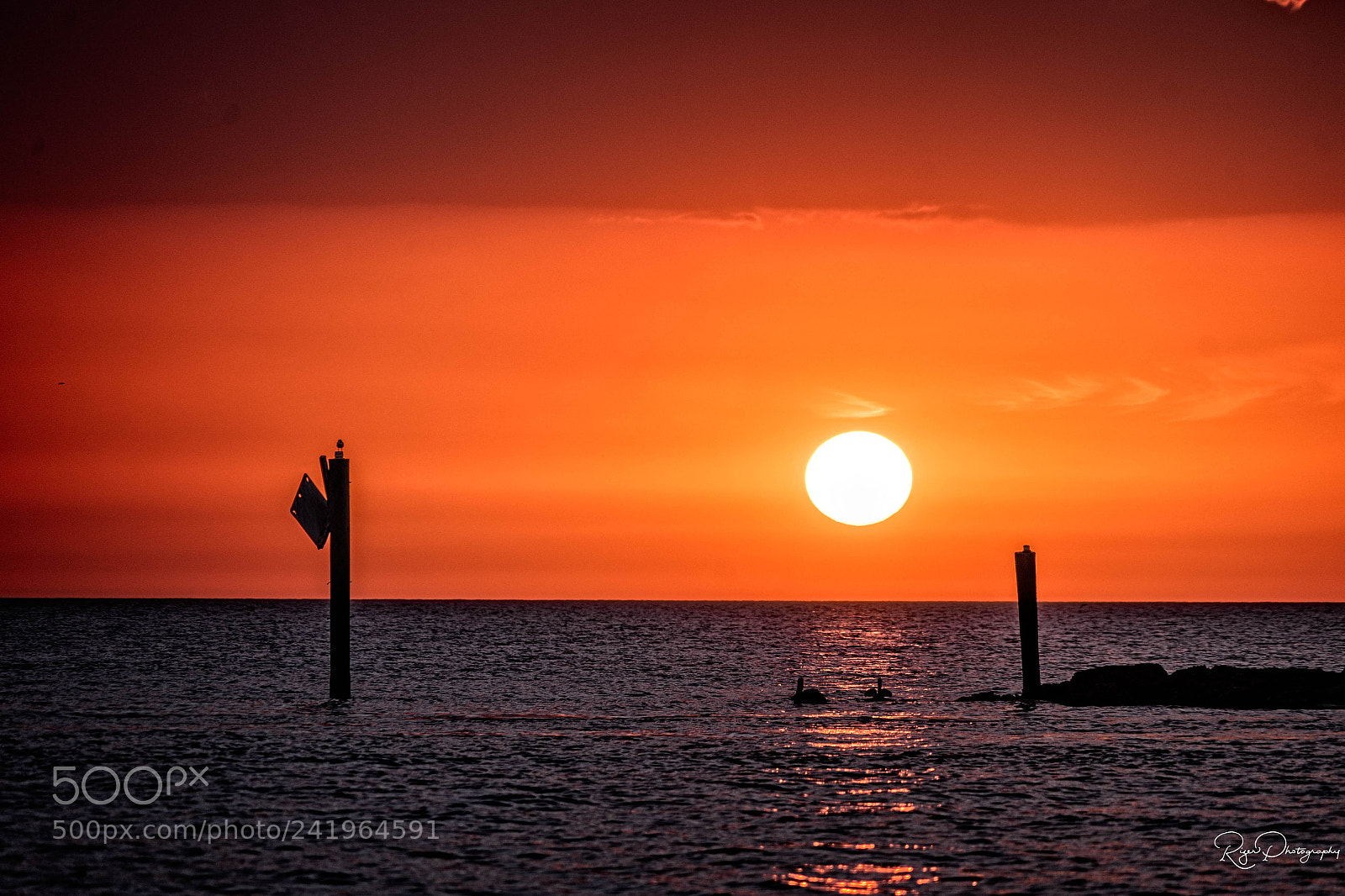 Sony a7 II sample photo. Marco sunset photography