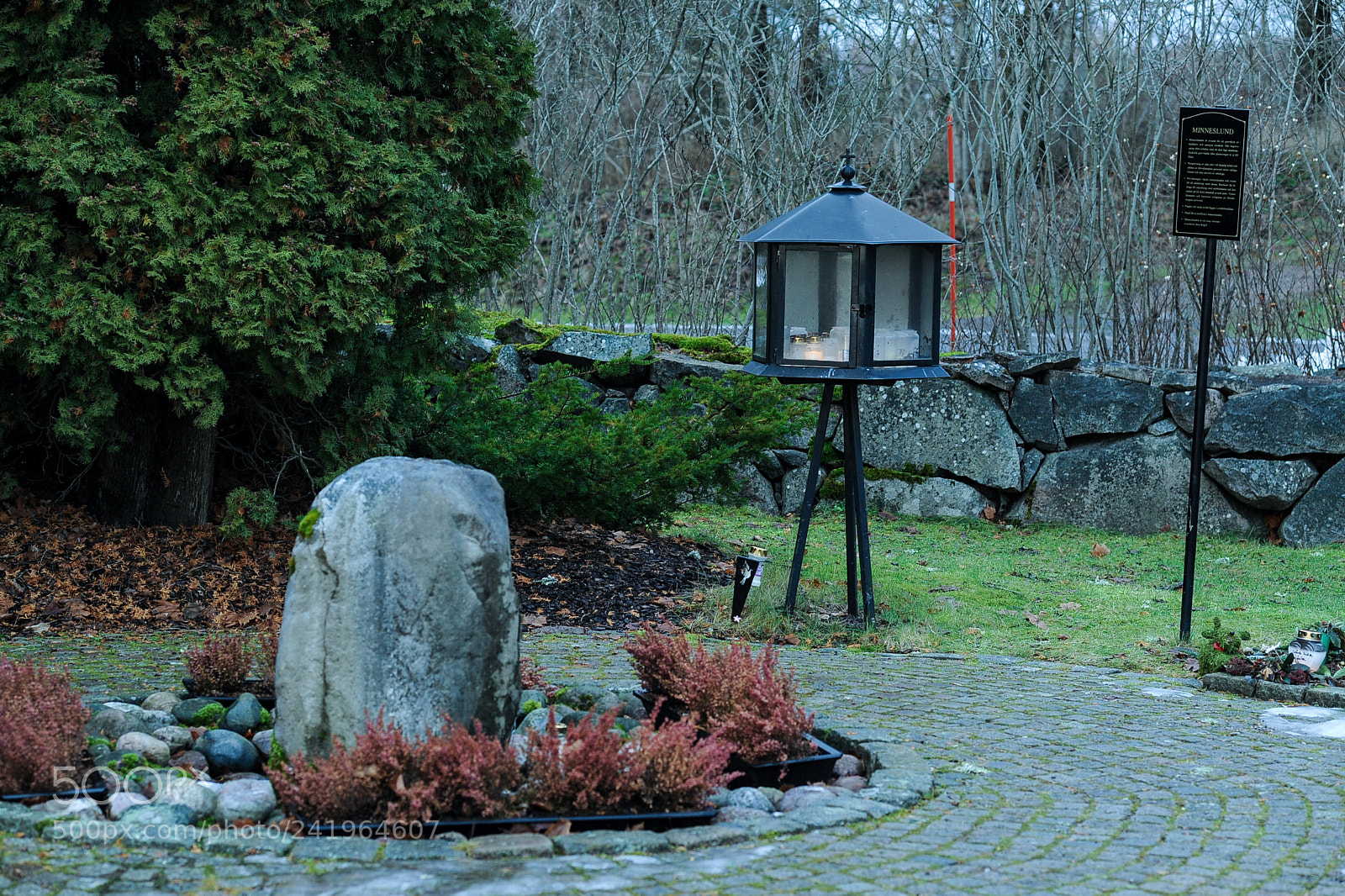 Nikon D700 sample photo. A walk down the photography