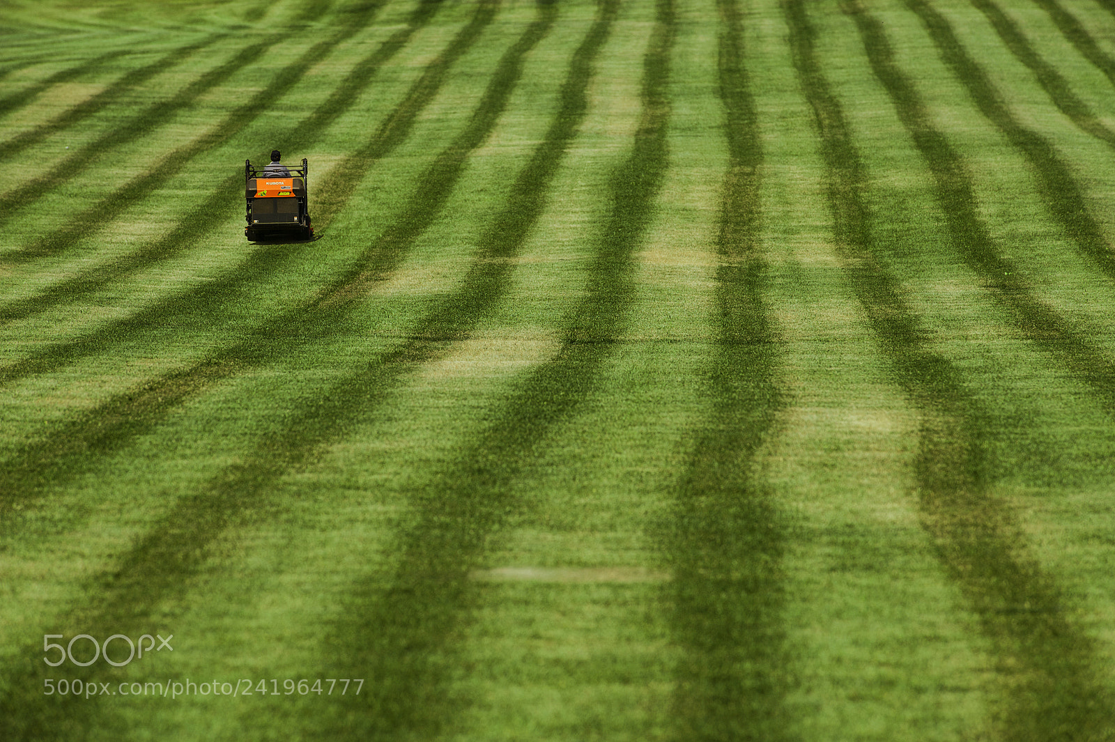 Nikon D700 sample photo. Lawn mower, biei photography