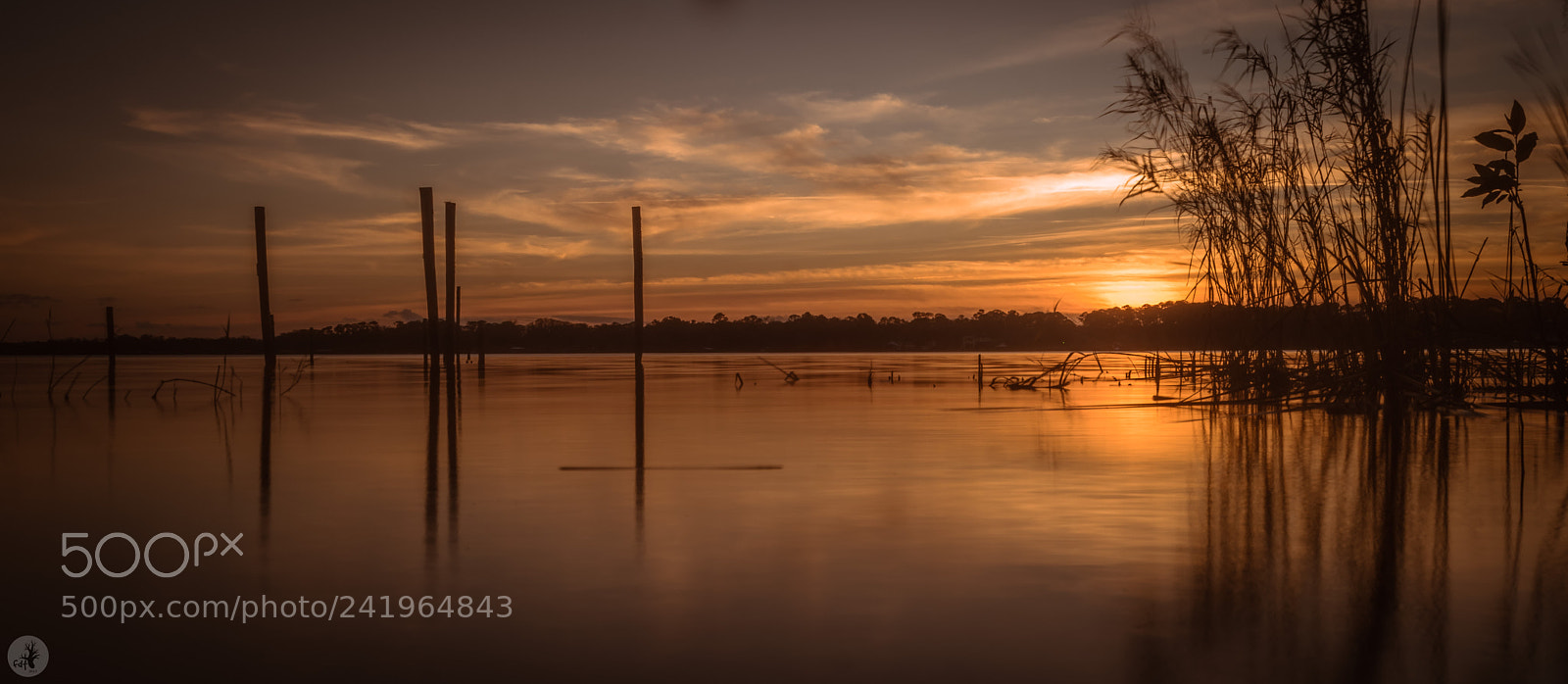 Samsung NX1 sample photo. Lake beresford photography