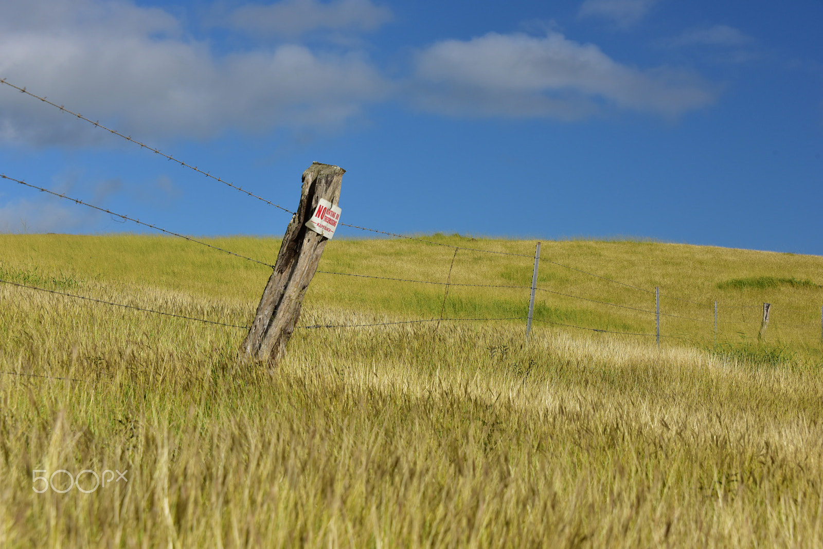 Nikon D810 sample photo. Maui prairies photography