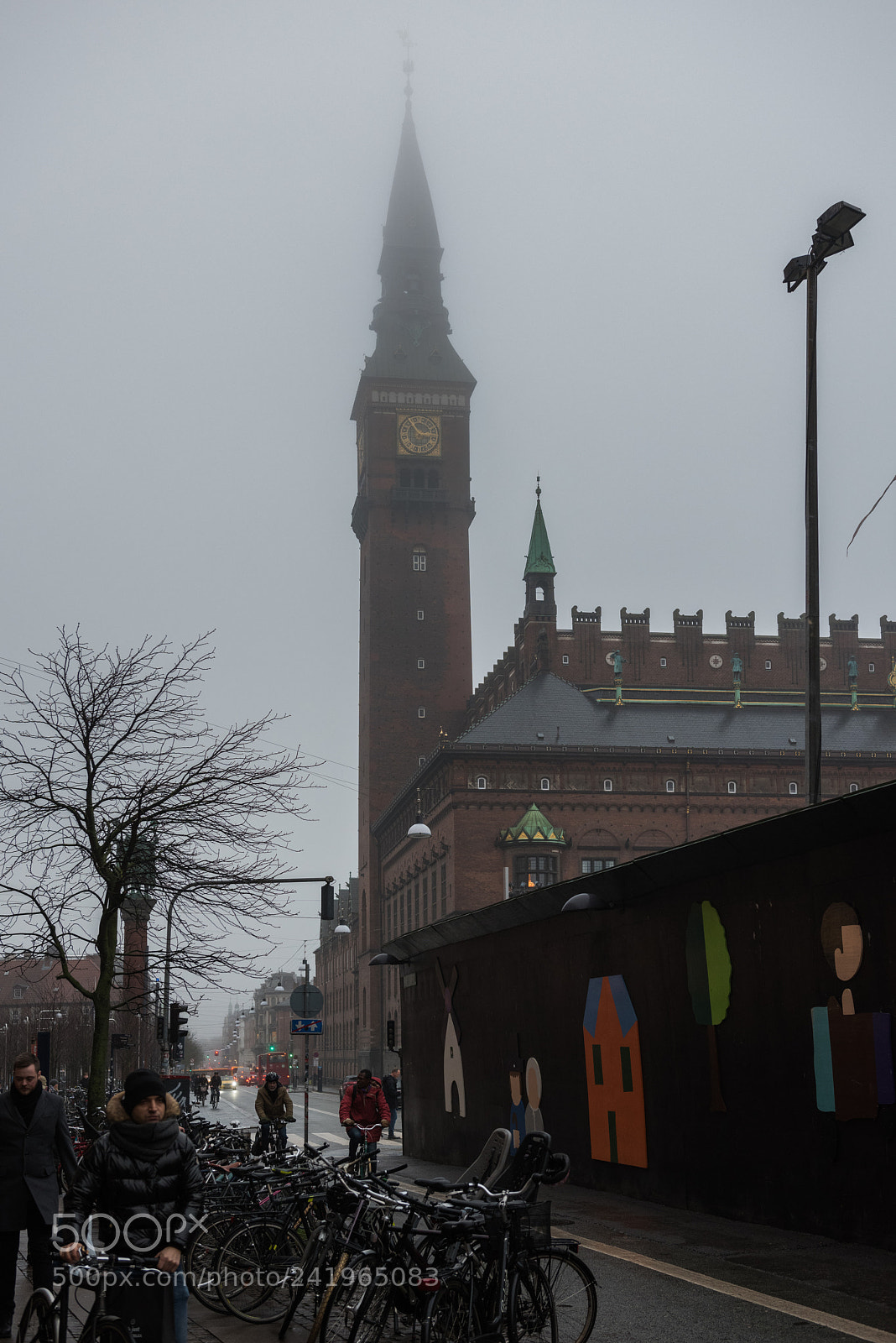 Nikon D810 sample photo. Cph photography
