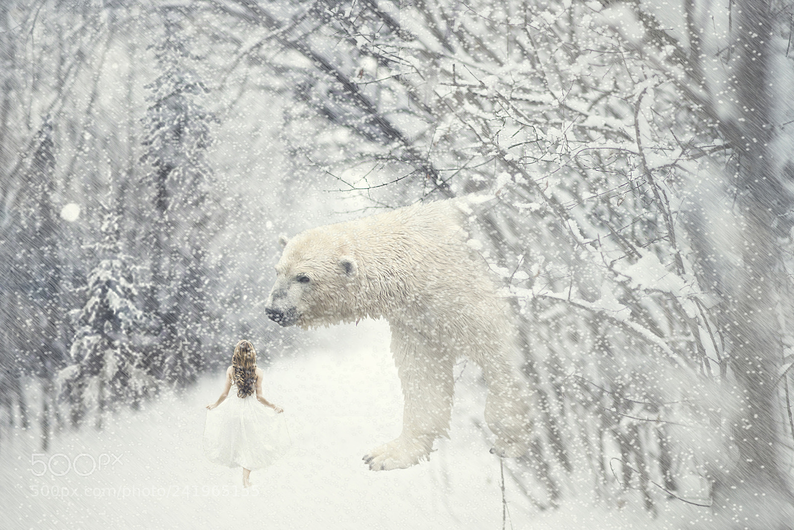 Nikon D600 sample photo. Winter story photography