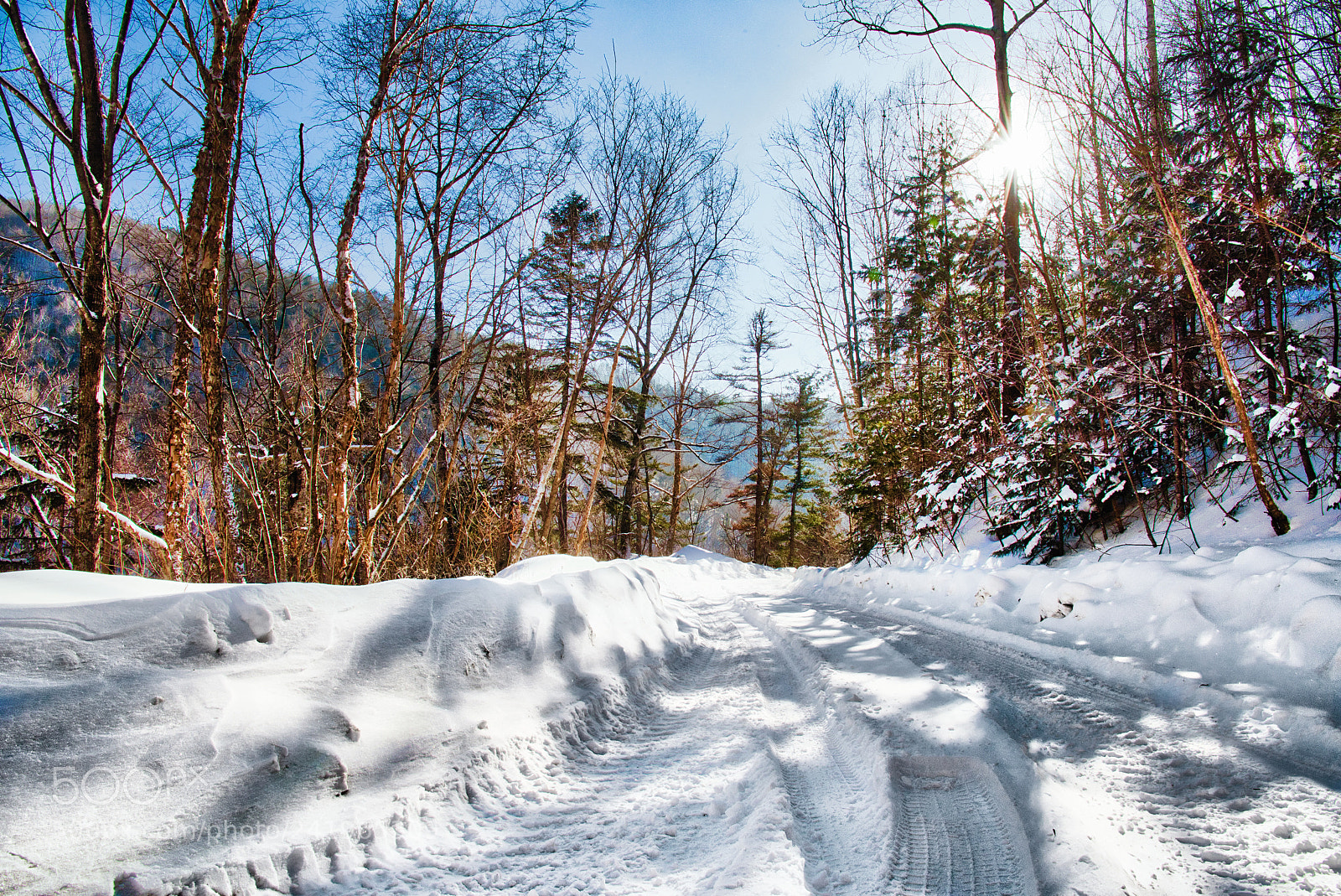 Nikon D810 sample photo. Cold day in the photography