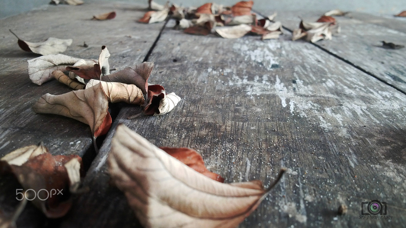 BlackBerry Z10 sample photo. Respect photography