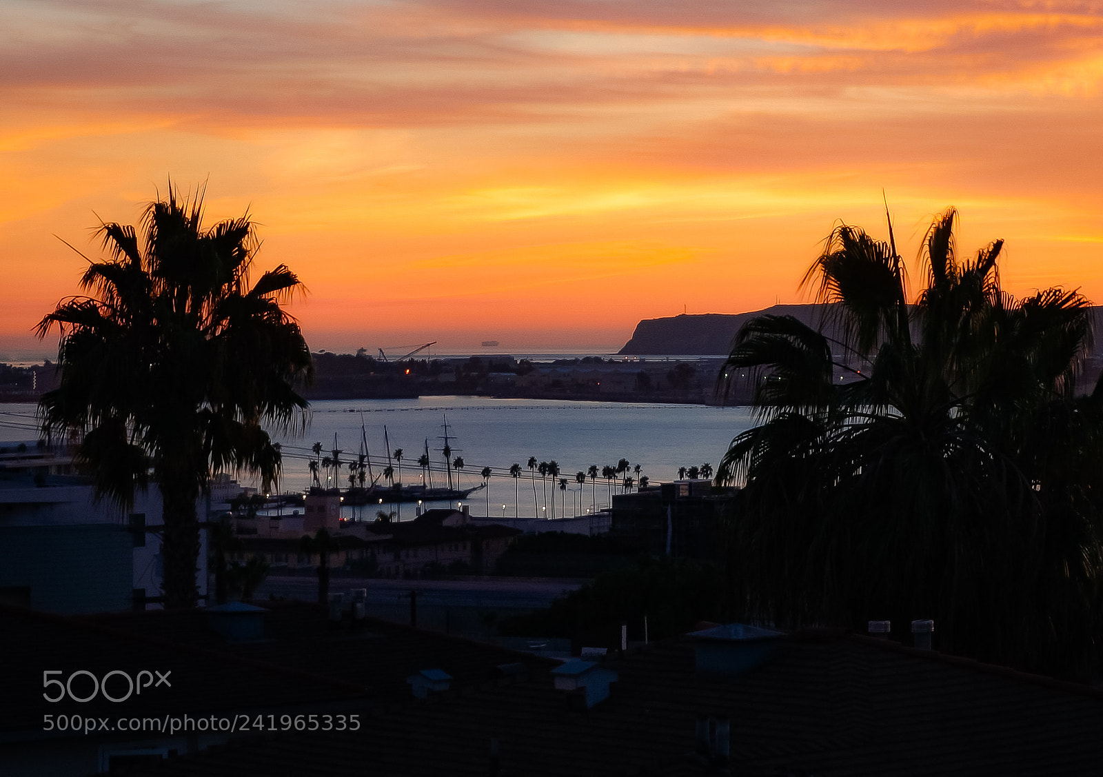 Sony SLT-A99V sample photo. San diego bay sunset photography