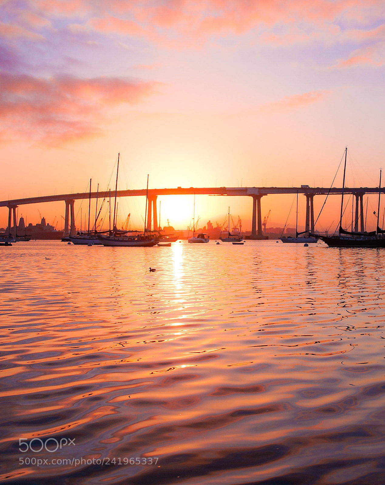 Sony SLT-A99V sample photo. Coronado sunrise photography