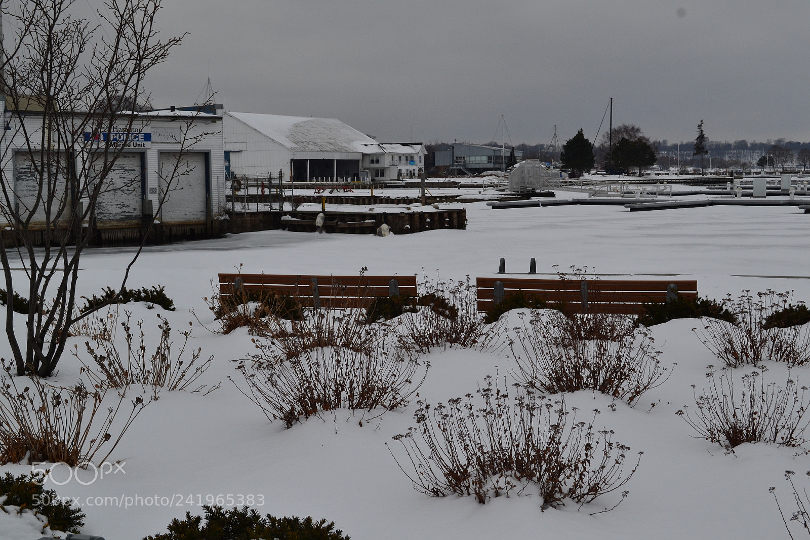 Nikon D3100 sample photo. Winter time photography