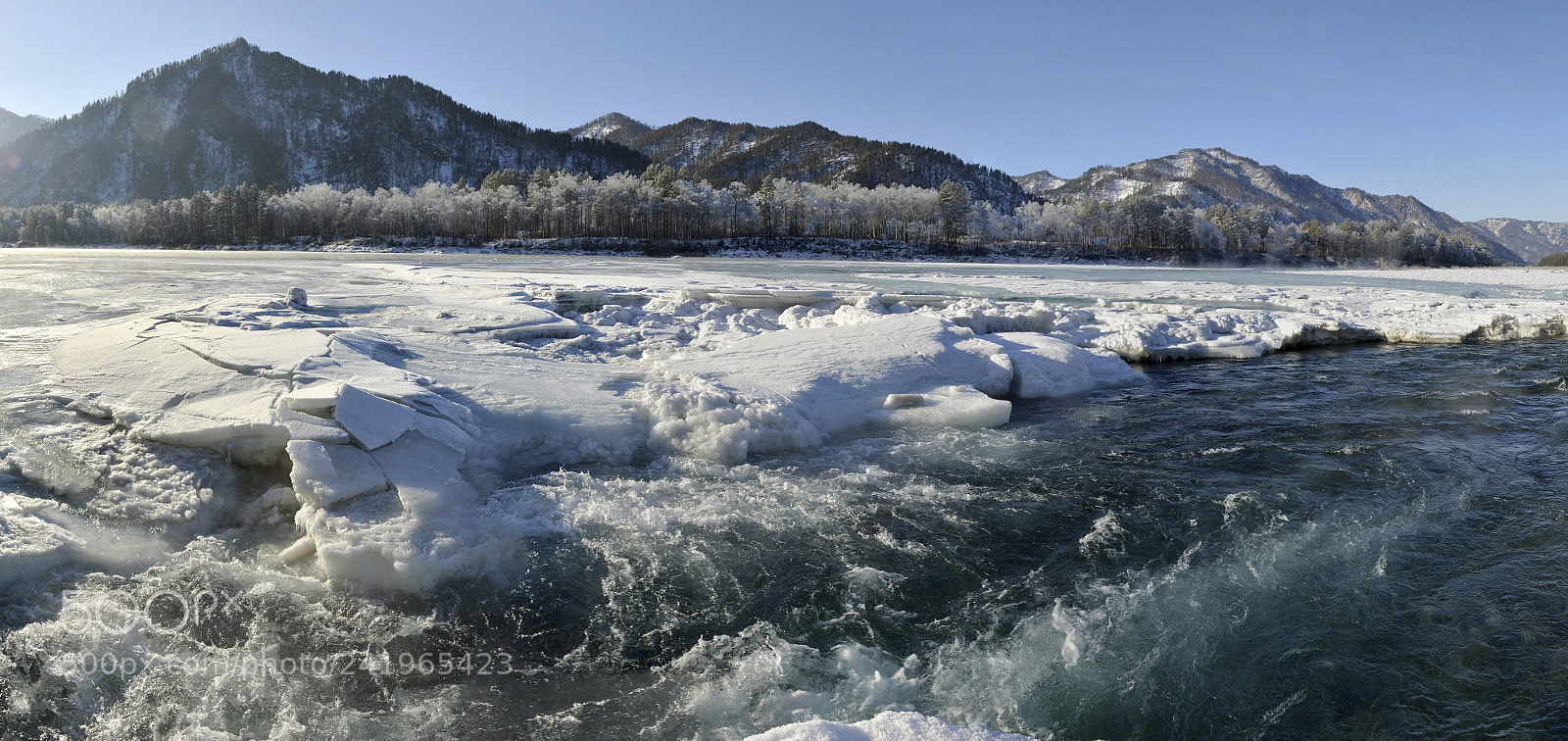 Nikon D800E sample photo. Katun river in winter photography
