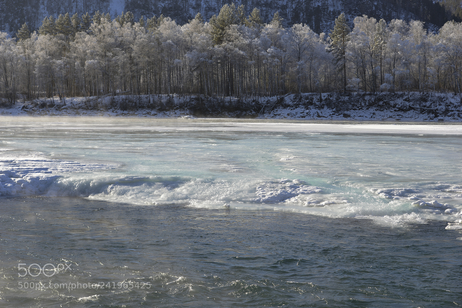 Nikon D800E sample photo. Katun river in winter photography