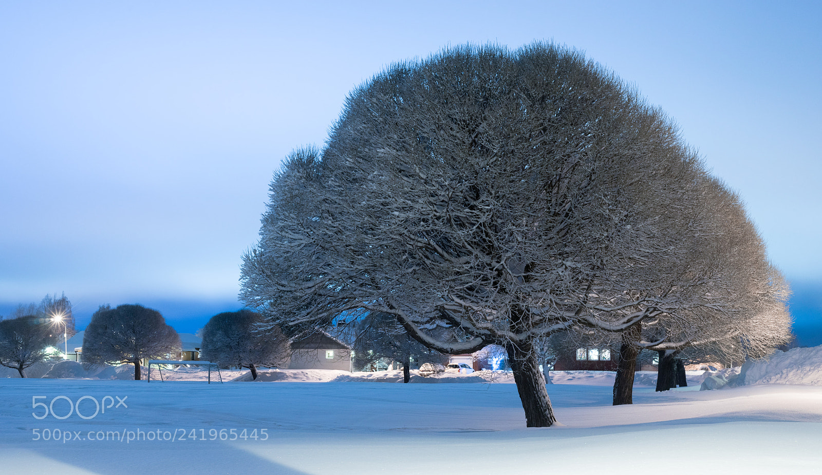 Sony a7 sample photo. Winter night photography