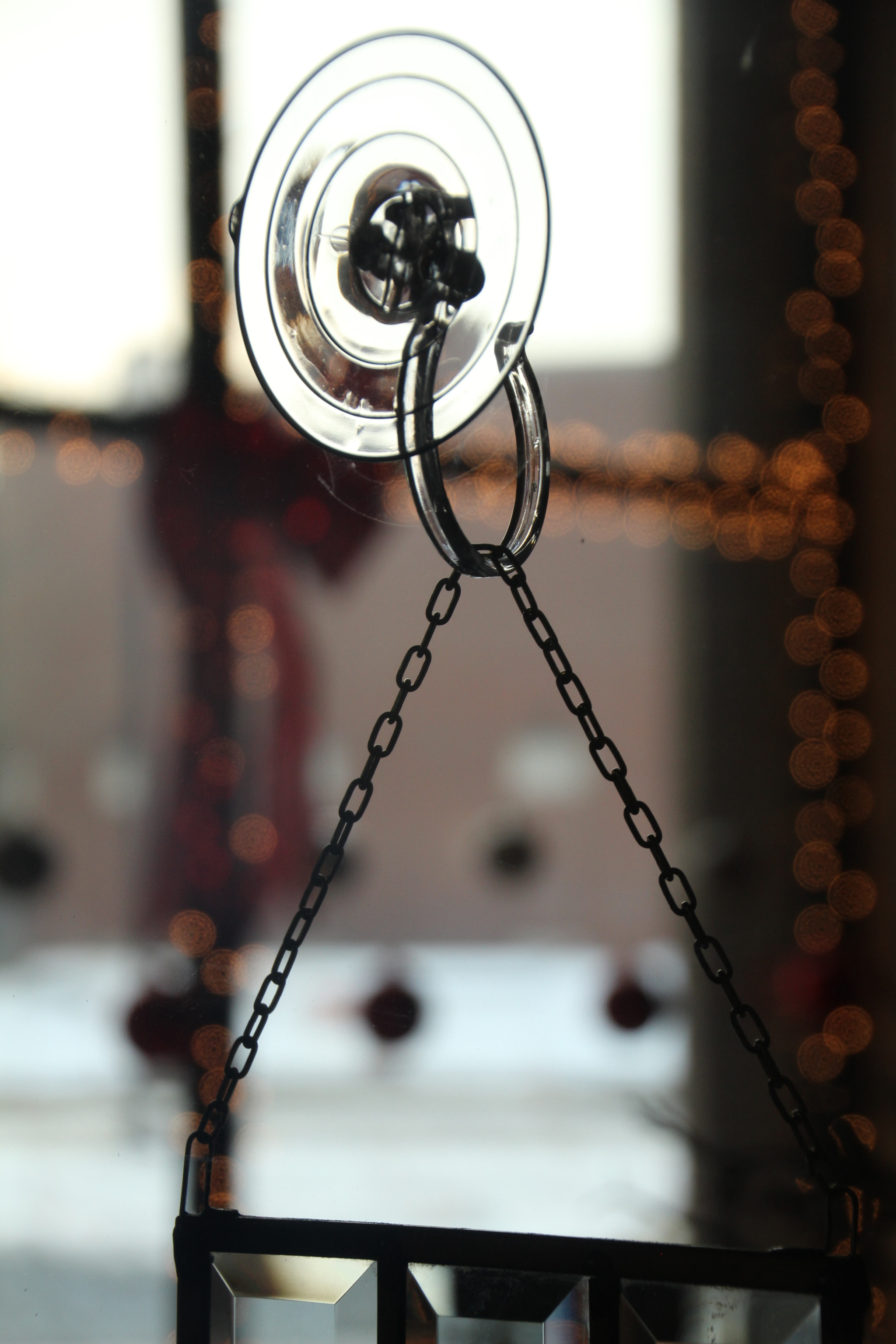 Canon EOS 1200D (EOS Rebel T5 / EOS Kiss X70 / EOS Hi) sample photo. Ooooooooooooooooooooooooooooooooooooooooooo bokeh! photography