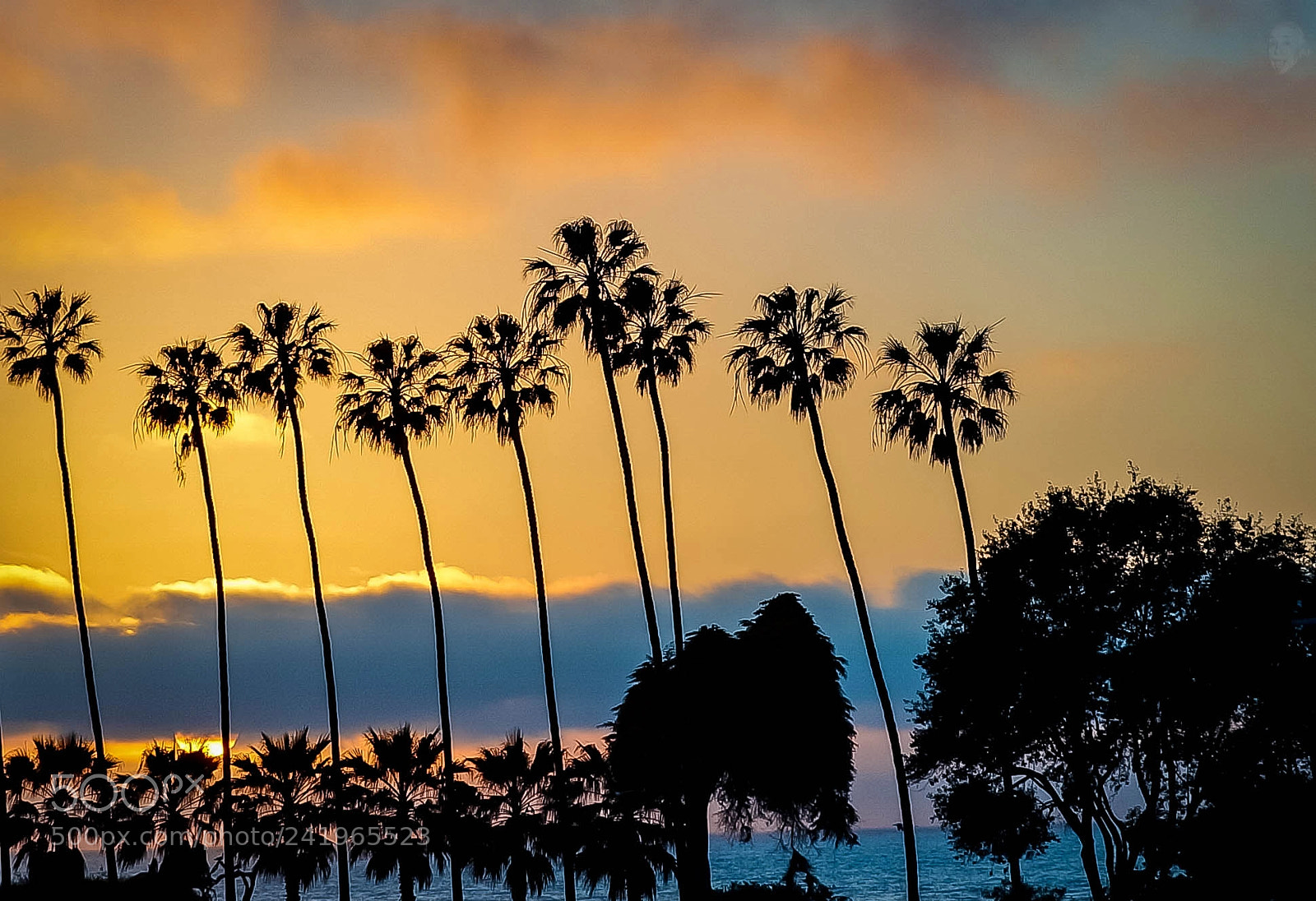 Sony SLT-A99V sample photo. Sunset between the clouds photography