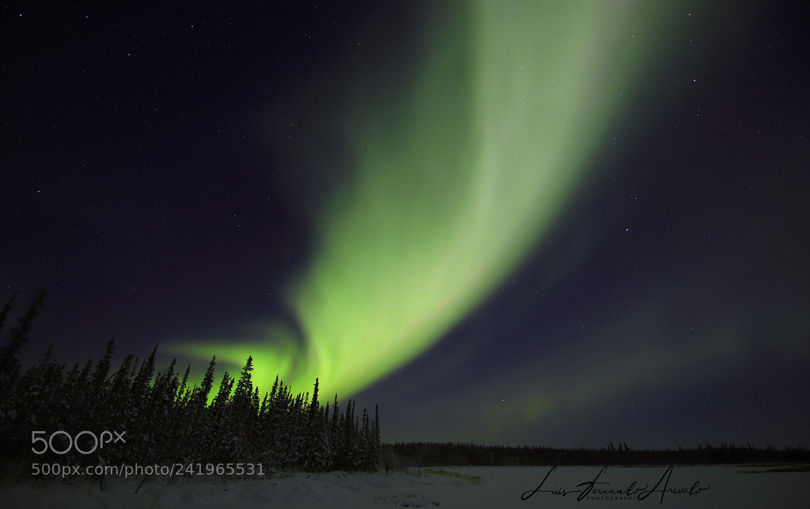 Canon EOS 6D Mark II sample photo. Aurora photography