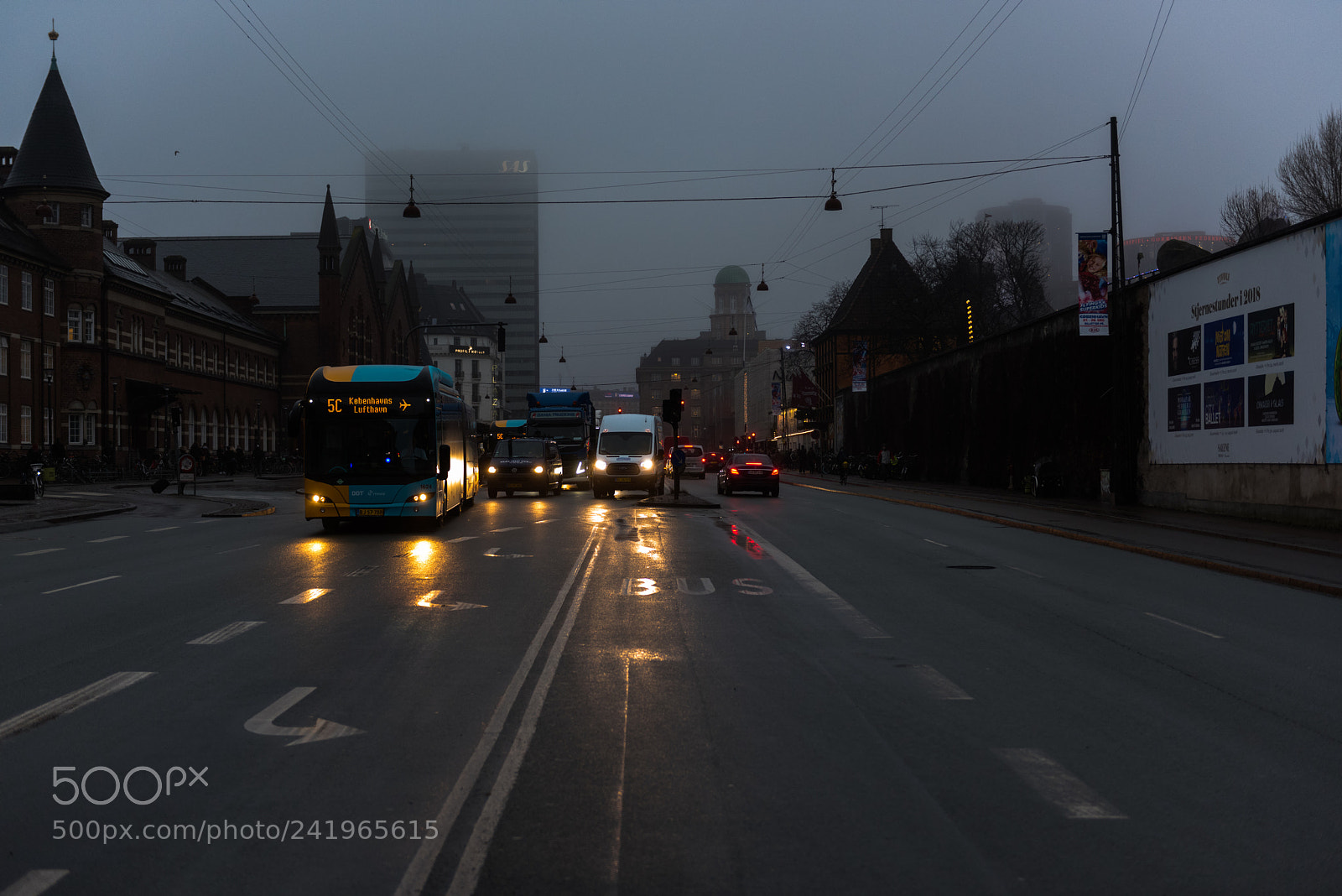 Nikon D810 sample photo. Cph photography
