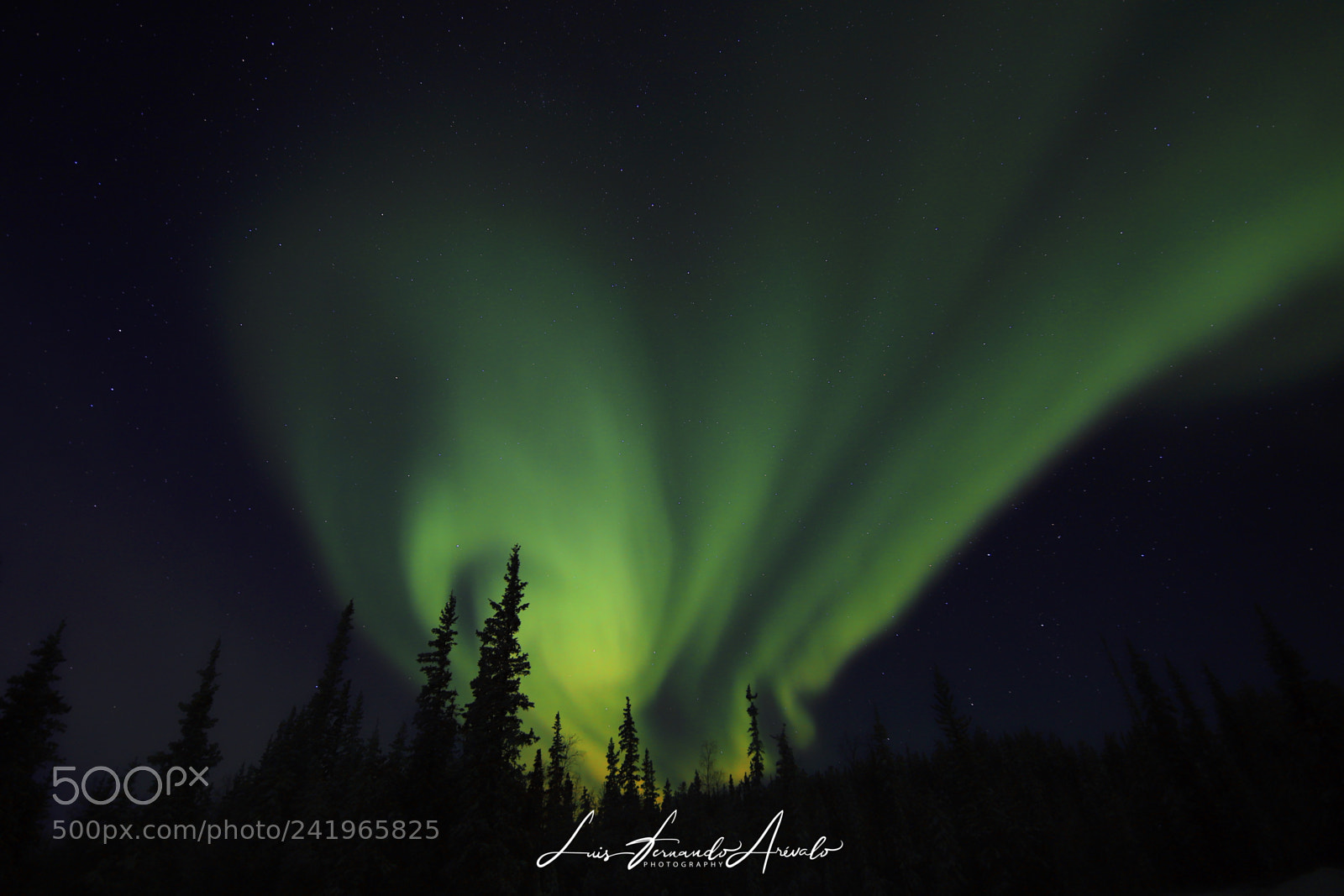 Canon EOS 6D Mark II sample photo. Winter aurora photography