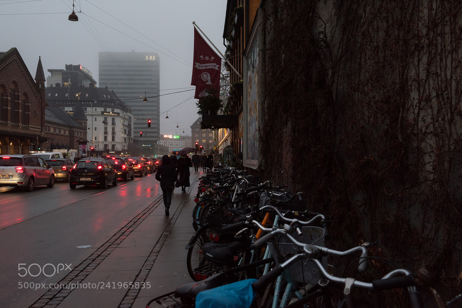 Nikon D810 sample photo. Cph photography