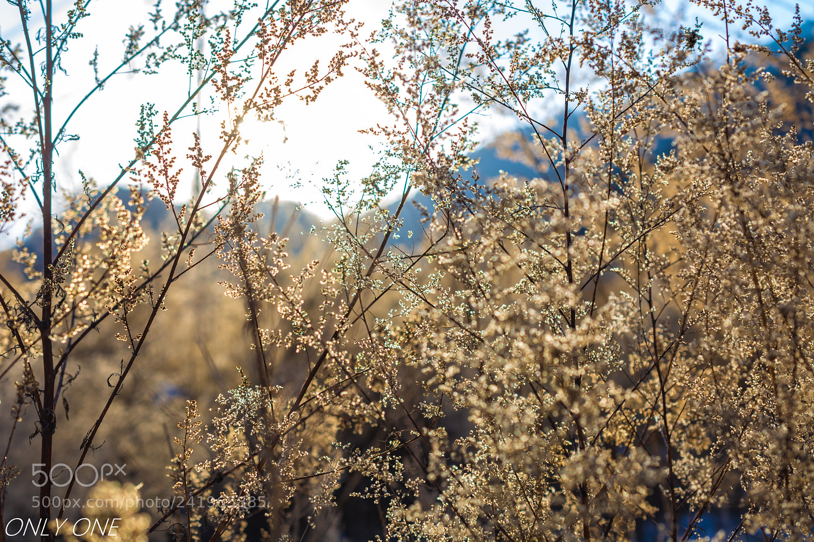 Nikon D7100 sample photo. Sunning photography