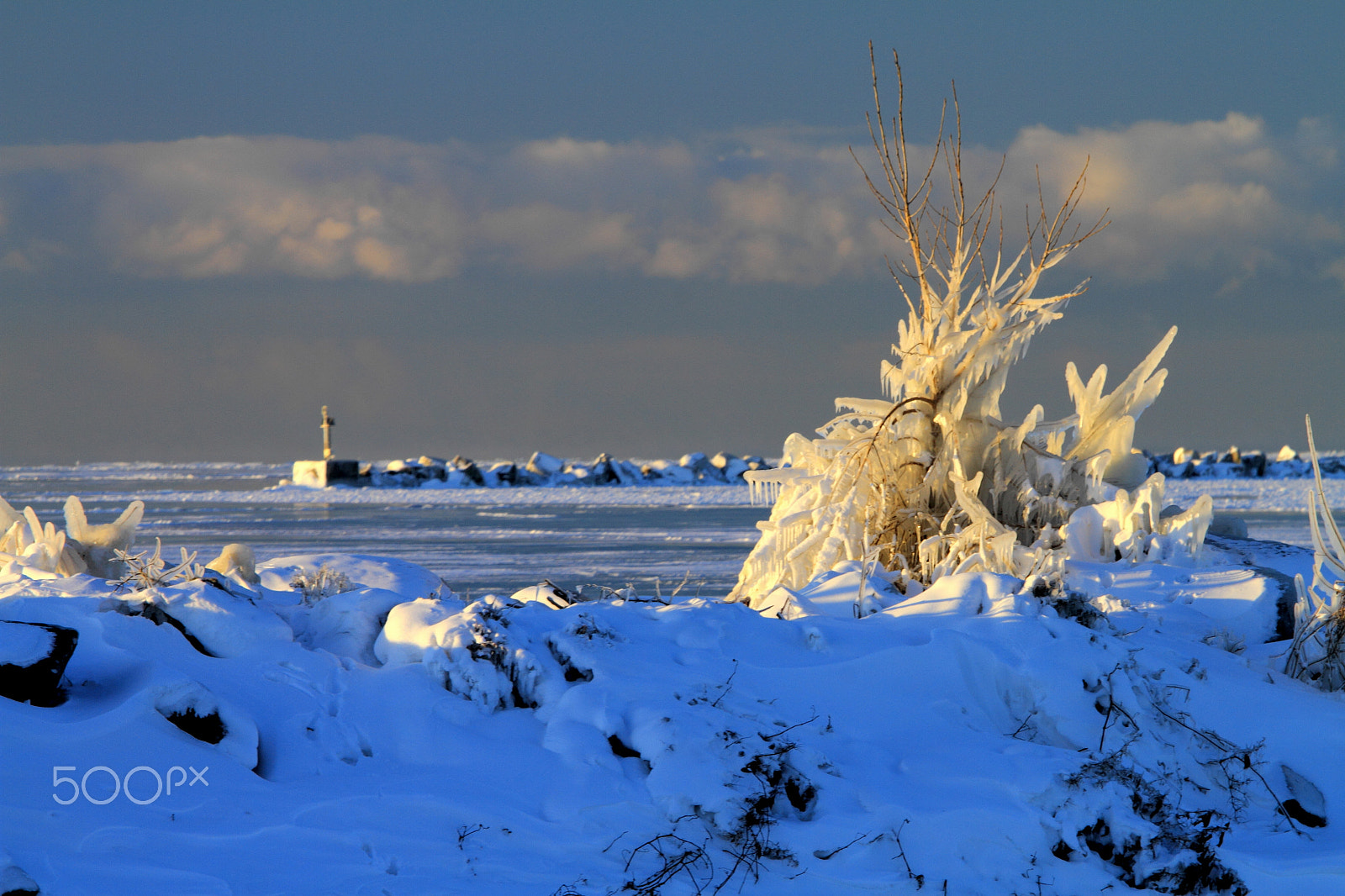 Canon EOS 7D + Canon EF 70-200mm F4L IS USM sample photo. Iced photography