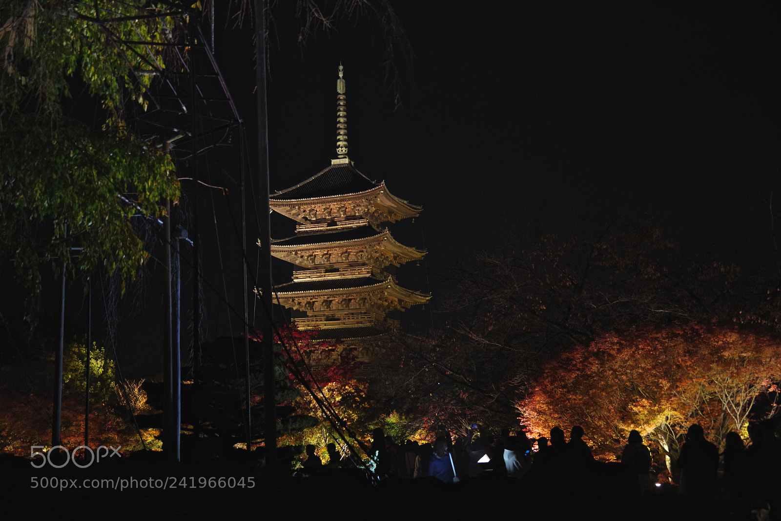 Pentax K-1 sample photo. To-ji photography