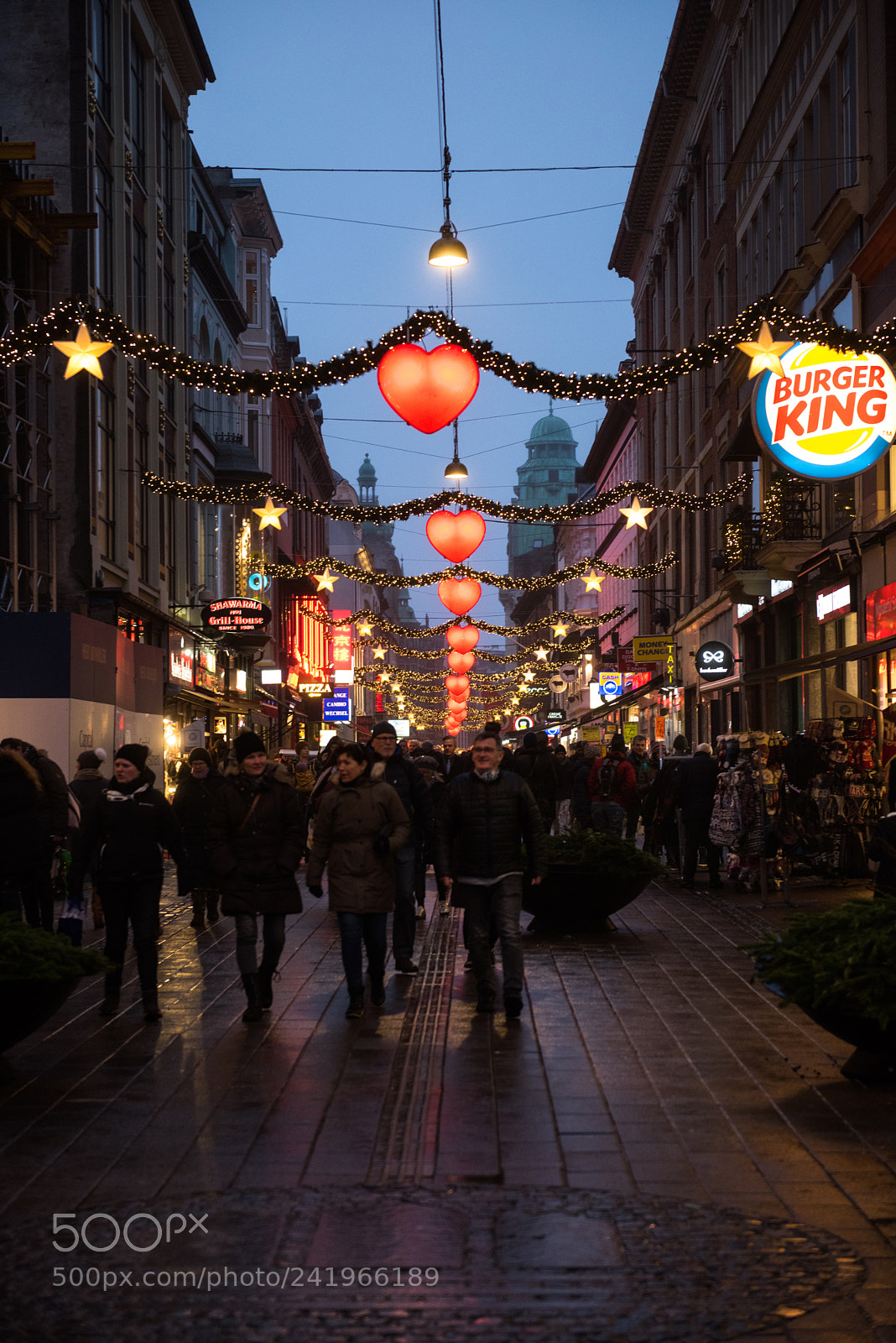 Nikon D810 sample photo. Cph photography