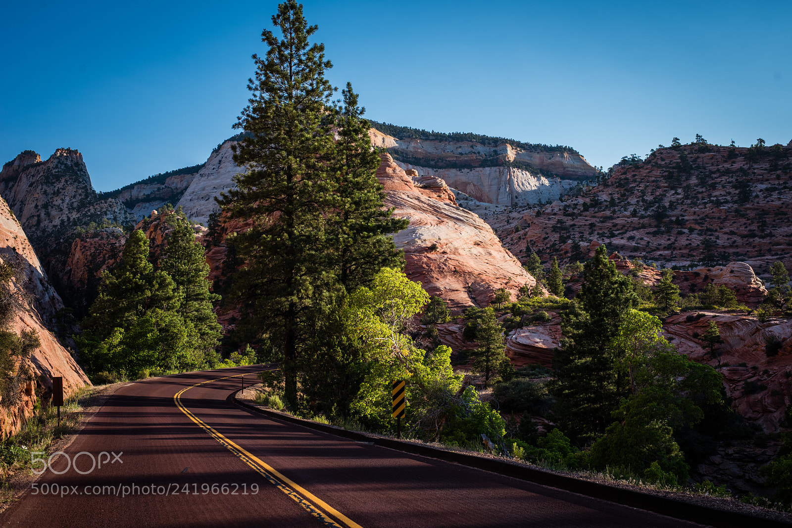 Nikon D810 sample photo. Zion bend in the photography