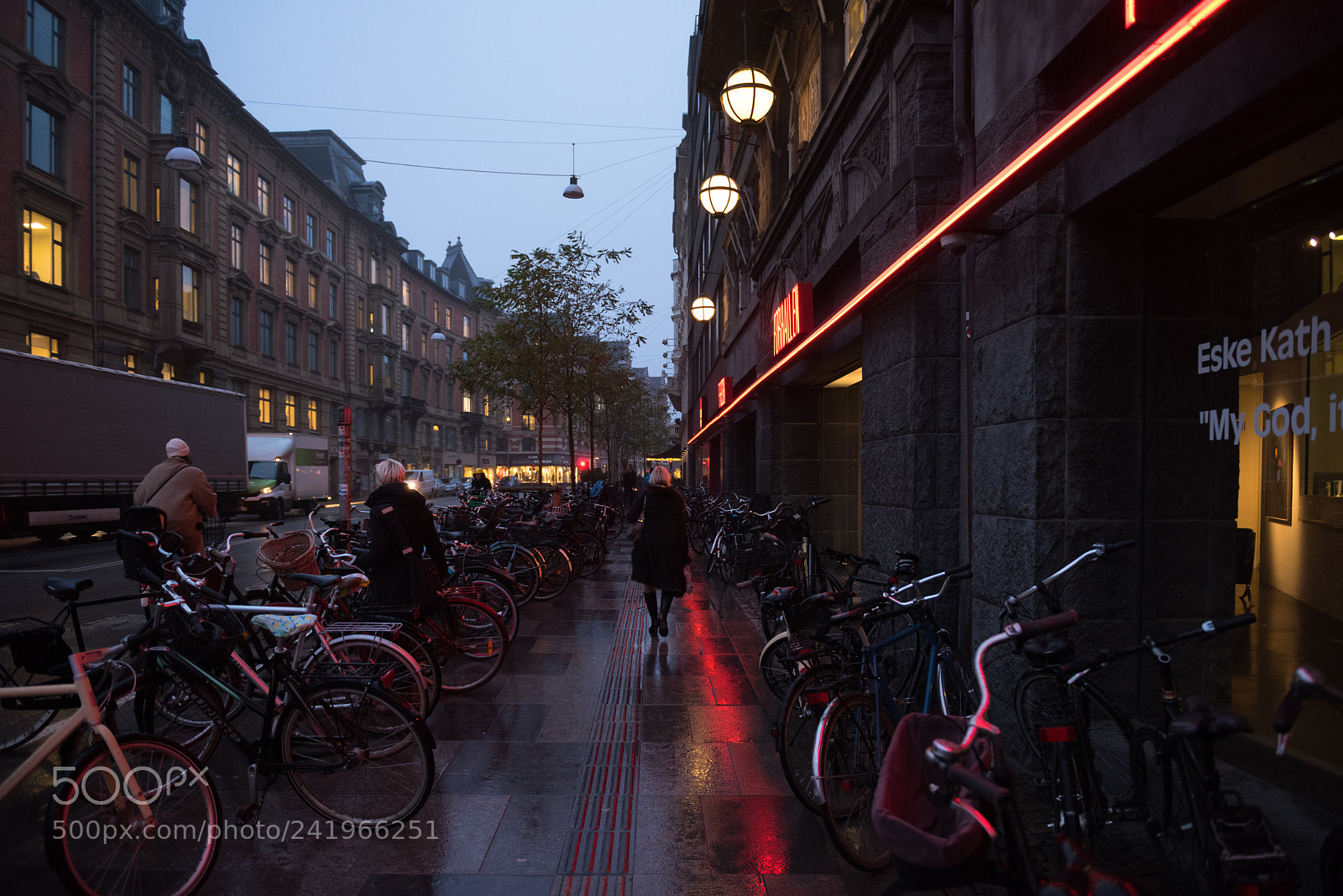 Nikon D810 sample photo. Cph photography