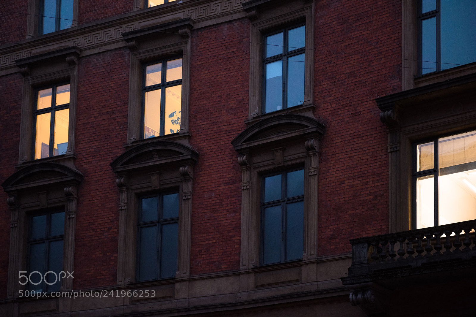 Nikon D810 sample photo. Cph photography