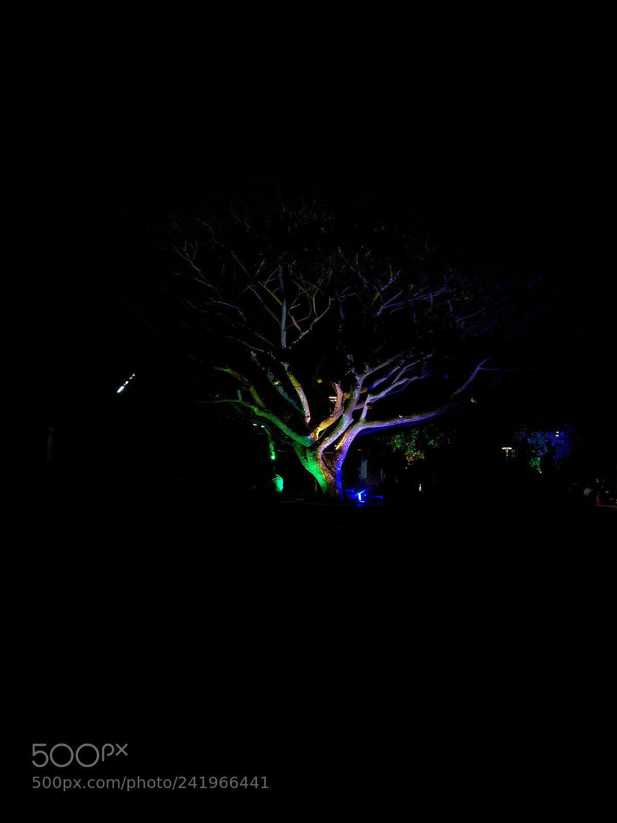 Lenovo K6 NOTE sample photo. Lightup photography