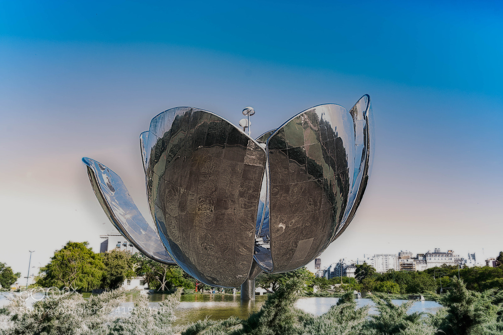 Nikon D7200 sample photo. Floralis genérica photography