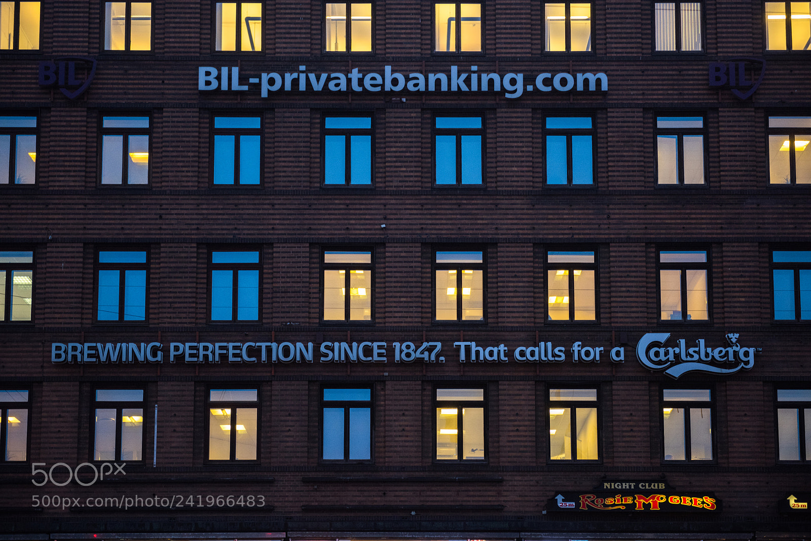 Nikon D810 sample photo. Cph photography
