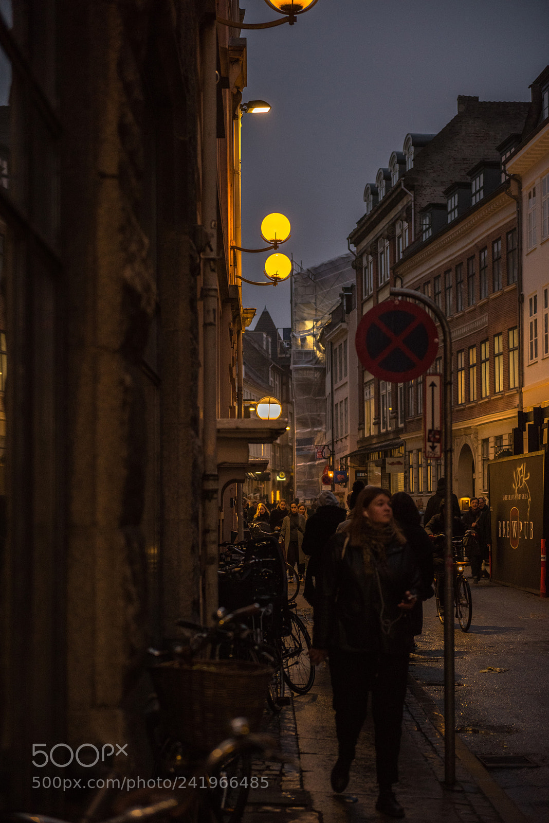 Nikon D810 sample photo. Cph photography