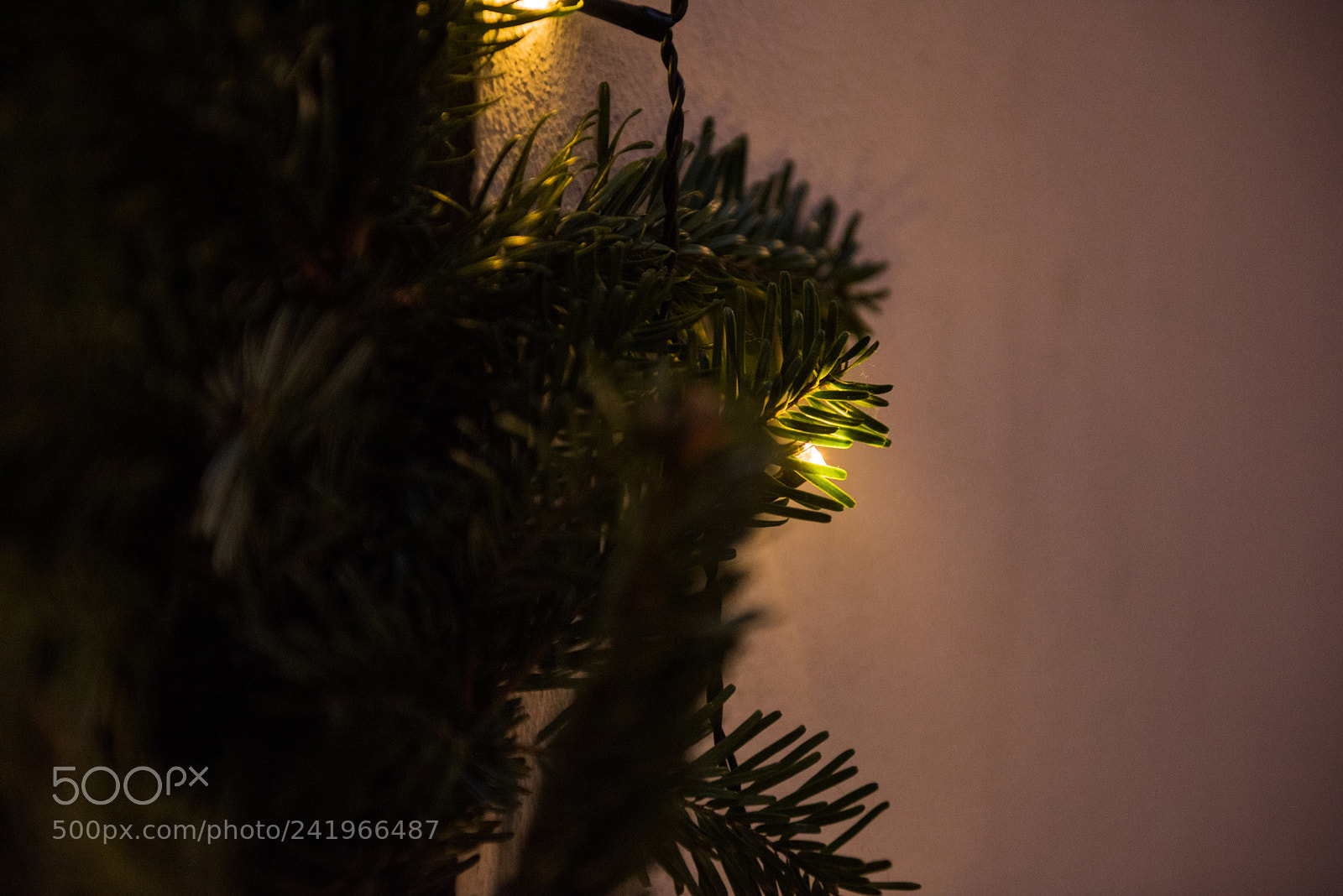 Nikon D810 sample photo. Cph photography