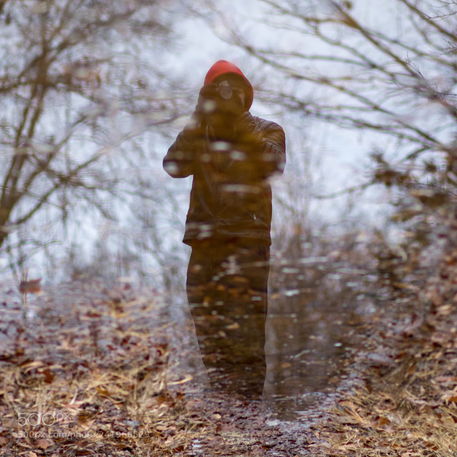 Canon EOS 6D Mark II sample photo. Puddle reflection photography
