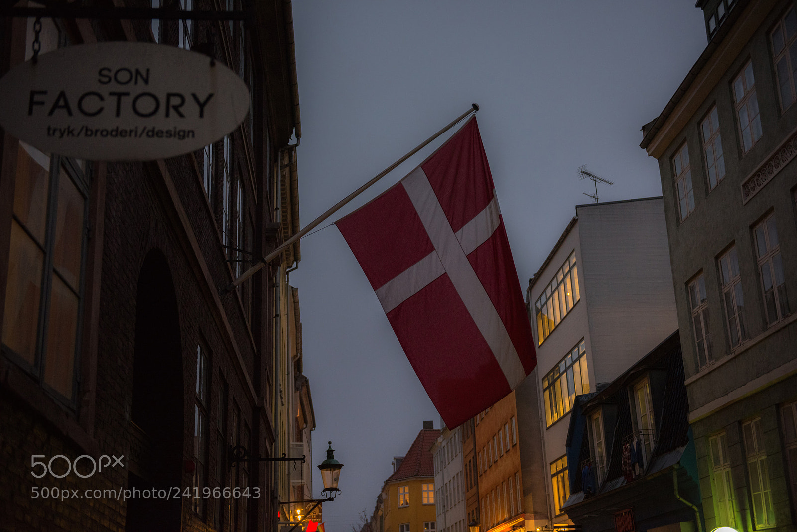 Nikon D810 sample photo. Cph photography