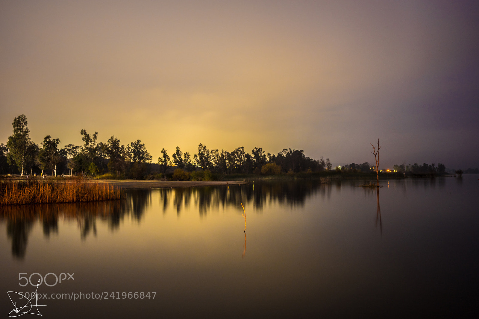 Sony a7 II sample photo. Reflect photography