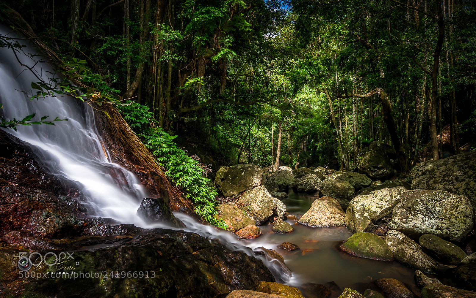 Sony a7 II sample photo. Kondalilla falls. photography