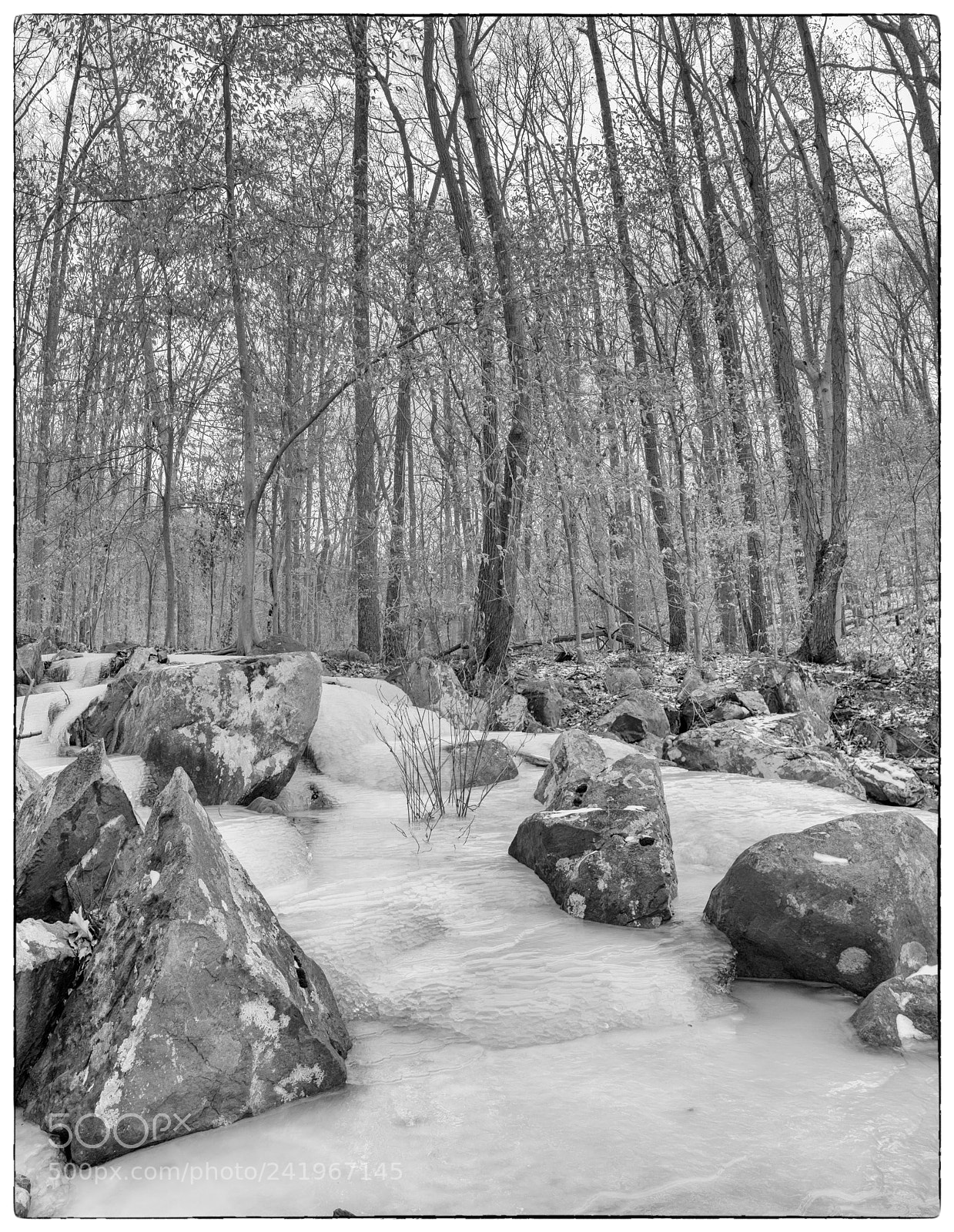 Canon EOS M6 sample photo. River of ice photography