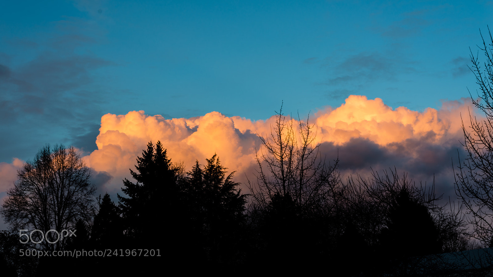 Nikon D800 sample photo. Last light photography
