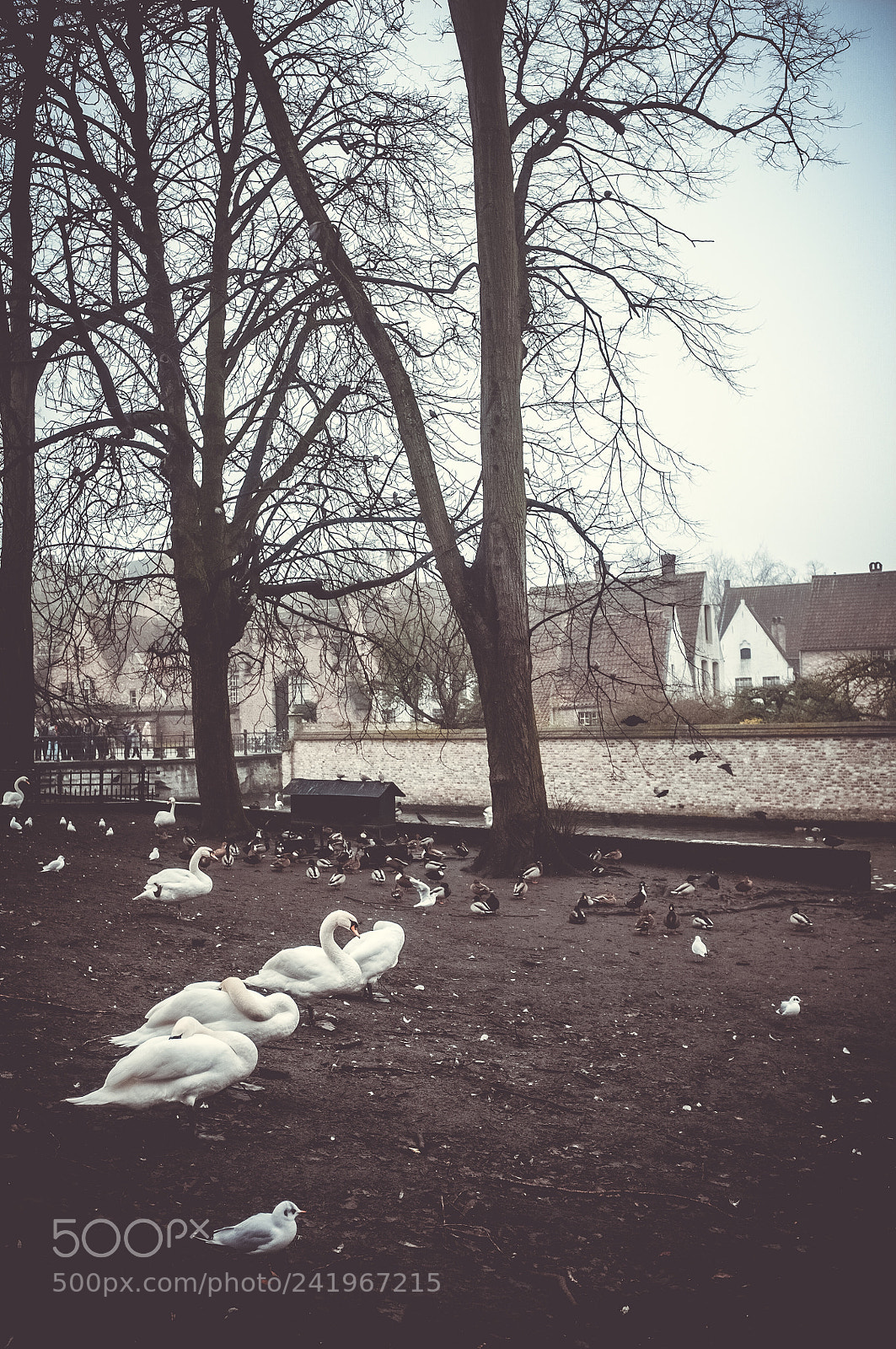 Fujifilm FinePix X100 sample photo. Bruge photography