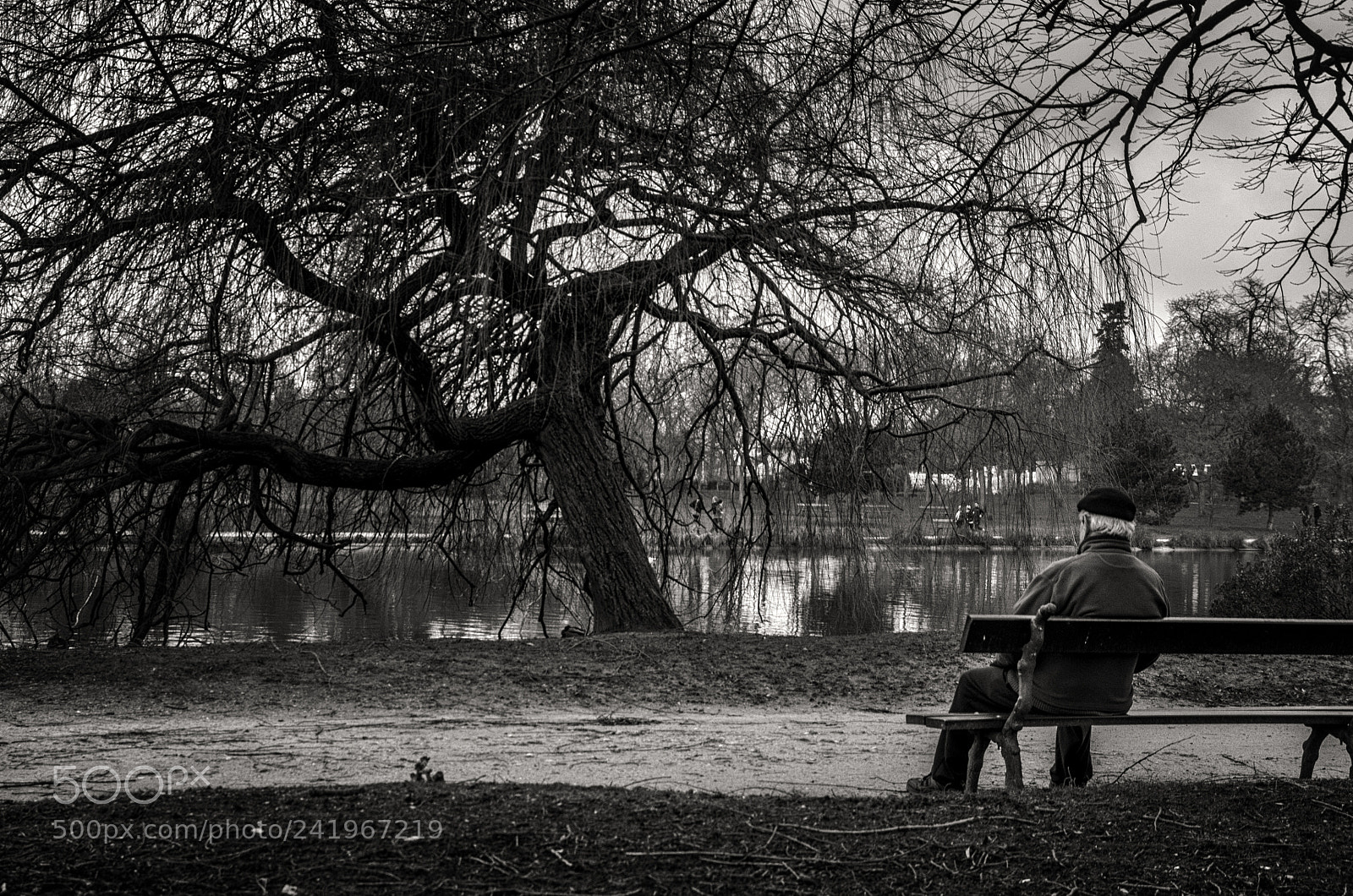 Pentax K-5 sample photo. Le vieux... photography