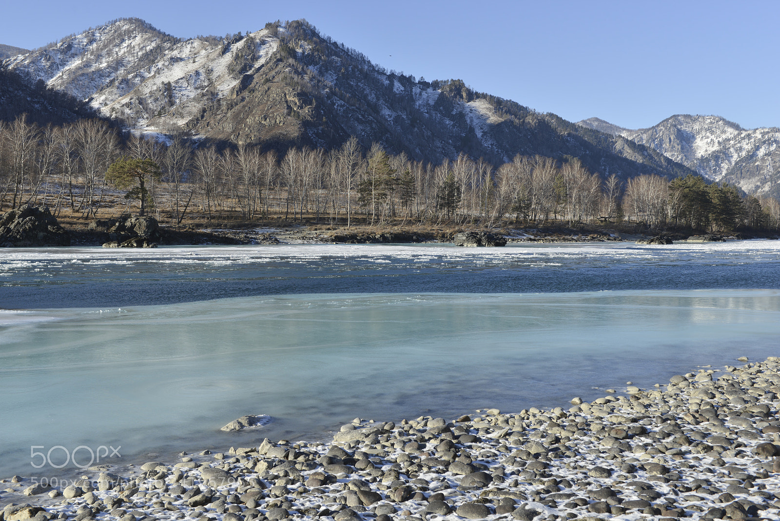 Nikon D800E sample photo. Katun river in winter photography