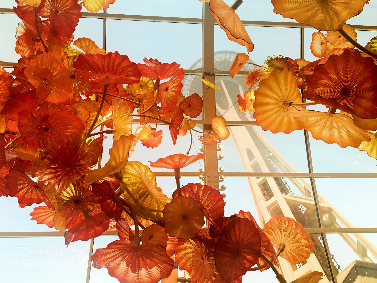 Apple iPhone 6 sample photo. Leaves of glass ft photography