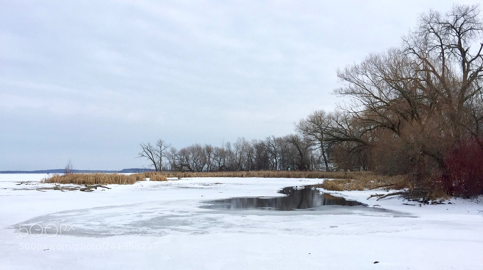 Apple iPhone 6 Plus sample photo. Frozen lake mendota photography