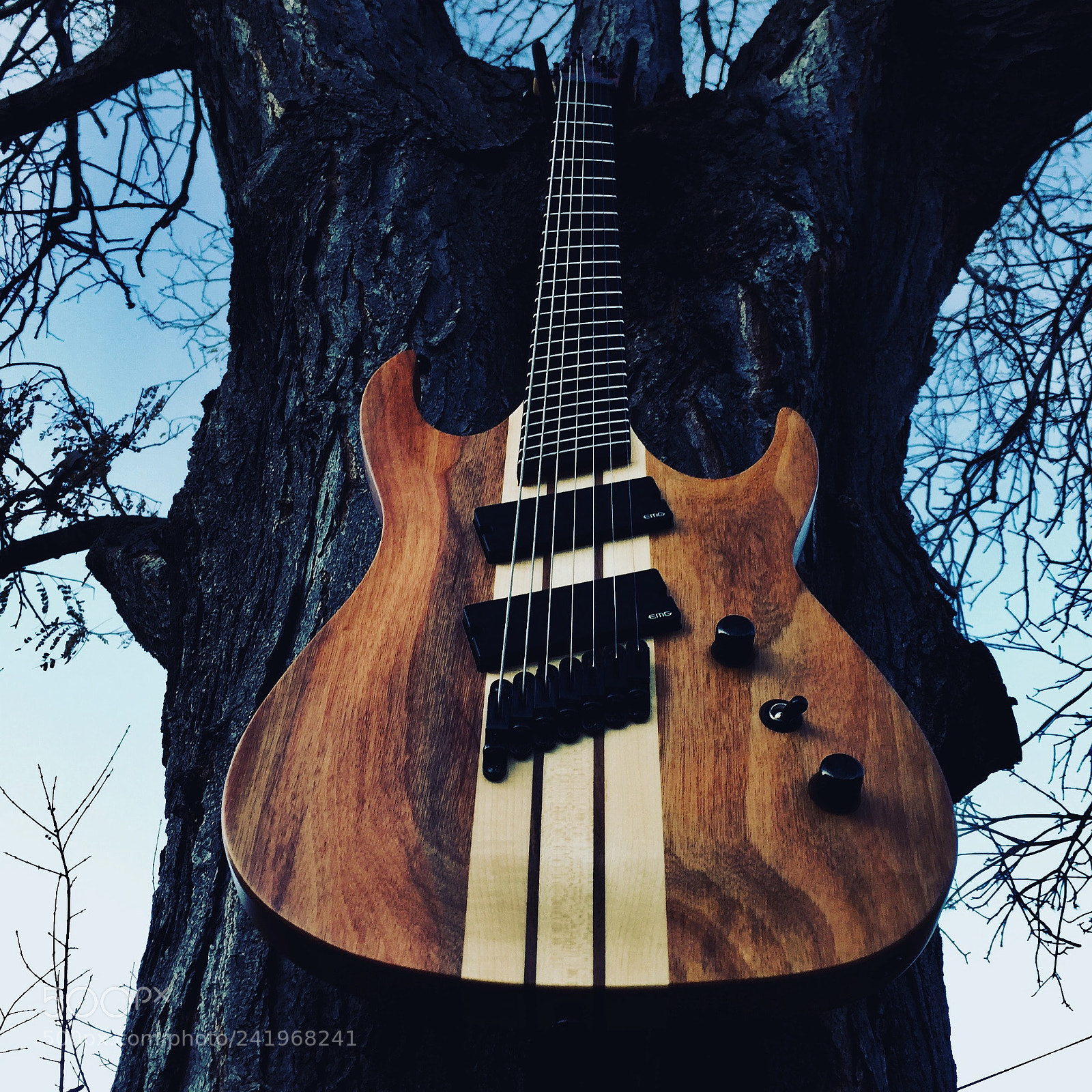 Apple iPhone 6 sample photo. Agile pendulum pro 7 string photography