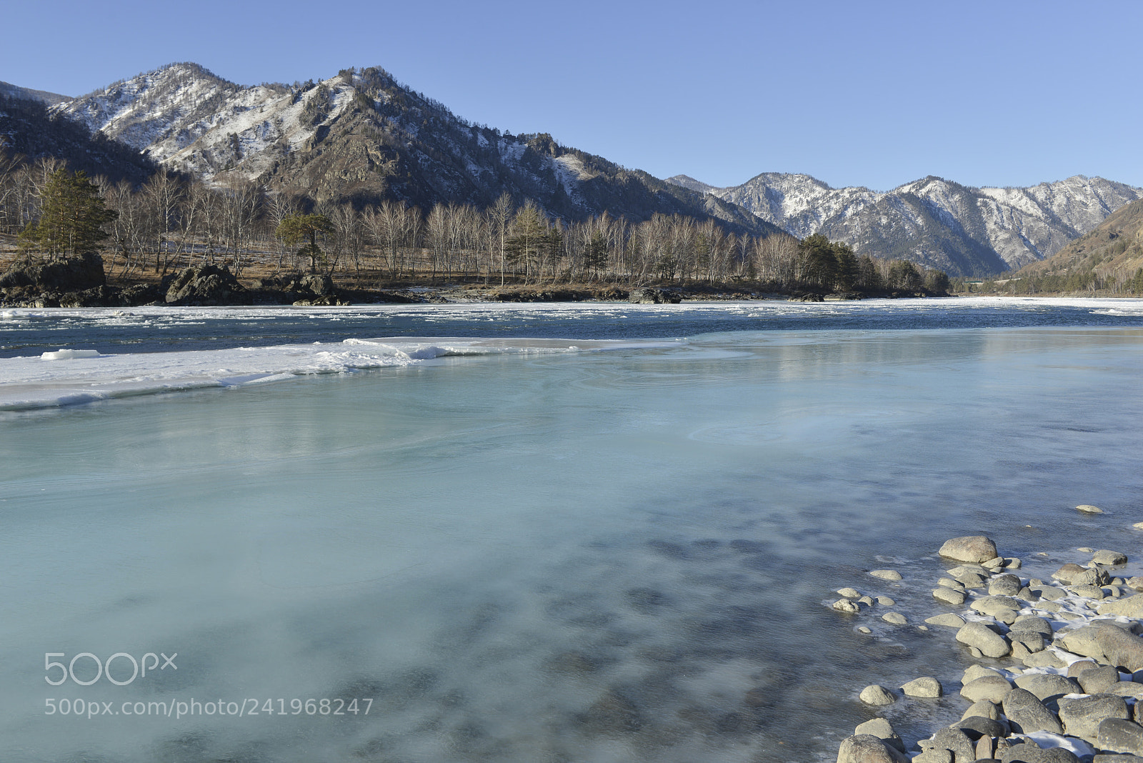 Nikon D800E sample photo. Katun river in winter photography